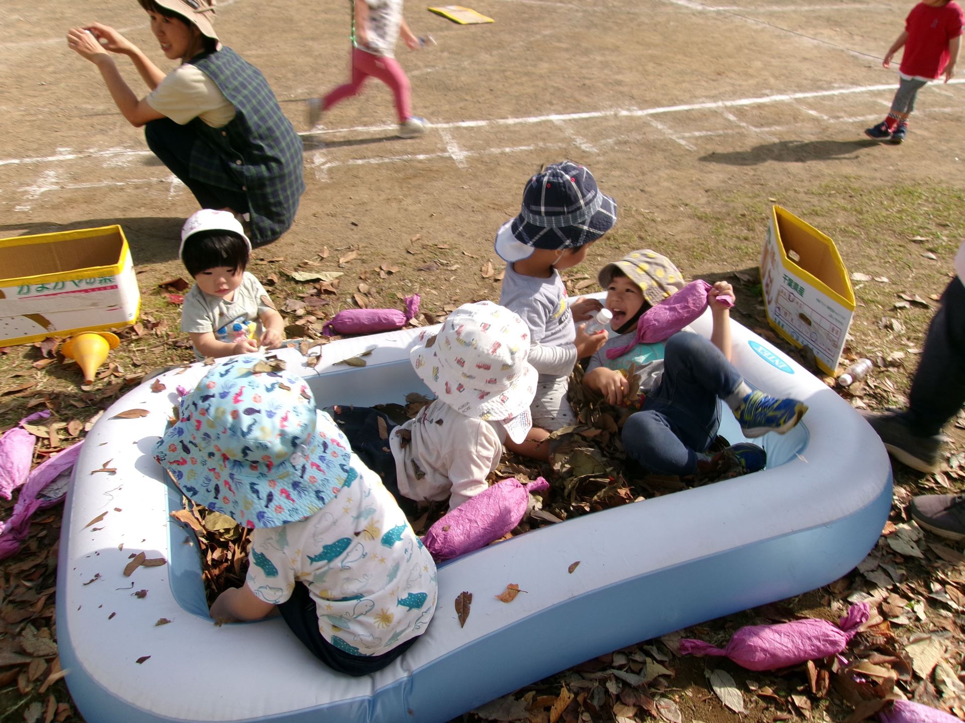 秋のコーナー遊びの画像1枚目